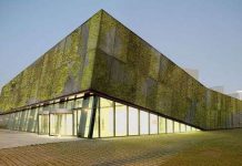 Vườn "đứng" trên tường nhờ bê tông sinh học