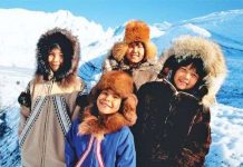 Người ở vĩ độ càng cao, não càng to