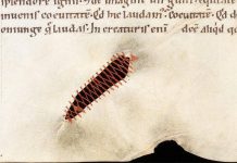 Nghệ thuật vá sách thời Trung Cổ: Sự sáng tạo tuyệt vời!