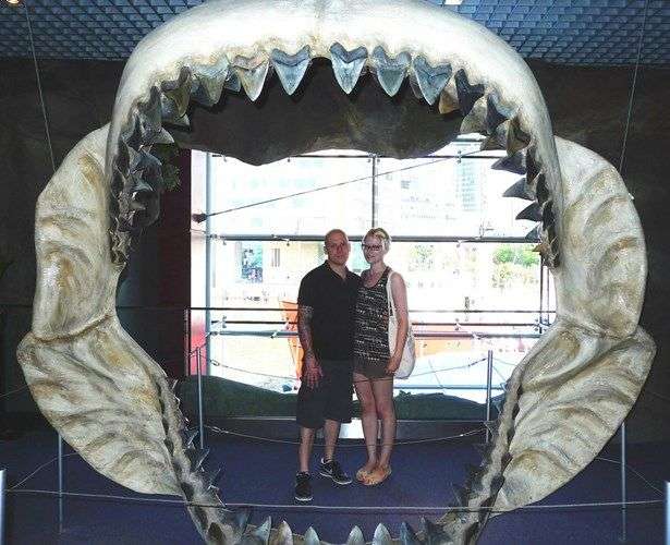 Kinh hoàng với những loài cá mập quái dị tới khó tin