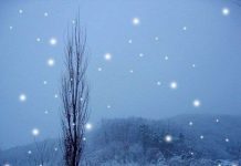 Những sự thật kinh ngạc trong lịch sử thế giới