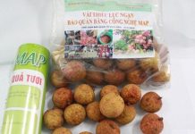 Nữ tiến sĩ chế công nghệ giá rẻ giữ vải thiều tươi hơn 1 tháng