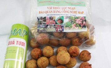 Nữ tiến sĩ chế công nghệ giá rẻ giữ vải thiều tươi hơn 1 tháng