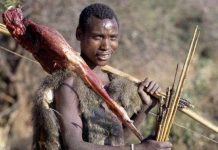 Dân văn phòng "đốt" calo như thợ săn châu Phi