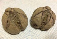 Sự thật phía sau vật thể lạ như quả bóng chày cỡ khủng xuất hiện trên bờ biển Sự thật phía sau vật thể lạ như quả bóng chày cỡ khủng xuất hiện trên bờ biển