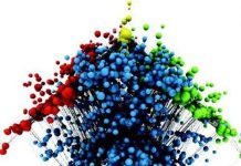 Vai trò của H 2 O trong sự phát triển và tiến hóa