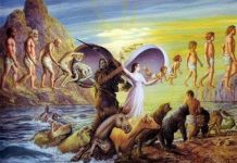 Vòng luân hồi: Tìm lời giải chuyện có một hay nhiều... kiếp sống