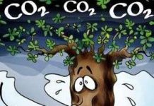 Thời tiết và chúng ta