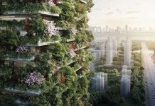 Cao ốc rừng xanh sắp mọc lên ở Trung Quốc