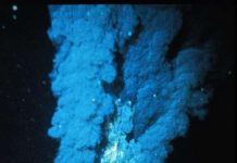 Loài vật mới sống trong môi trường đặc biệt khắc nghiệt