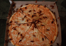 Loài gián còn một khả năng cực kỳ đáng sợ mà đến bây giờ chúng ta mới biết