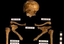 Giải mã bí ẩn về hố chôn tập thể tại Đức Giải mã bí ẩn về hố chôn tập thể tại Đức