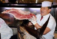 Nhật phát triển phần mềm ngăn chặn nạn gian lận thực phẩm