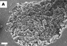 Sản xuất loại vật liệu "không tưởng" có khả năng hấp thụ nước siêu việt