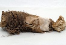 Rùng mình trước các cách phá thai đáng sợ có từ thời cổ đại