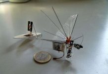 Robot vỗ cánh bay như bướm Robot vỗ cánh bay như bướm