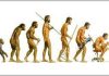 Có phải loài người đang tiến hoá nhanh hơn?