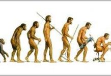 Có phải loài người đang tiến hoá nhanh hơn? Có phải loài người đang tiến hoá nhanh hơn?