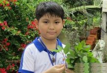 Nhà sáng chế tí hon, thất bại ba lần trước khi chế thành công máy diệt ruồi