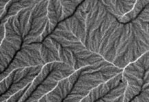 Đo đạc trực tiếp những thăng giáng trong đômen phản sắt từ