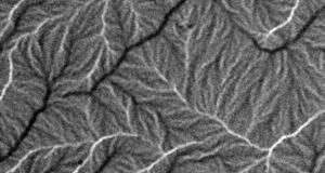 Đo đạc trực tiếp những thăng giáng trong đômen phản sắt từ