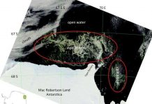 Đám tảo khổng lồ bao vây Nam Cực