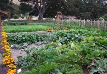 Công nghệ tin học mới giúp mang lại những vụ mùa bội thu