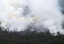 Indonesia dội bom nước để dập cháy rừng