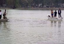 Căn cứ chứng minh Rùa Hồ Gươm là "hậu duệ" thần rùa