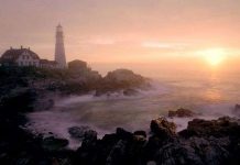 Sáng sớm: Thời điểm hạnh phúc nhất của con người