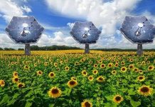 Nguồn điện từ năng lượng sạch ngày càng bỏ xa than