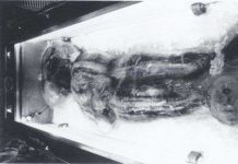 Xác ướp "dã nhân chân to" ra mắt