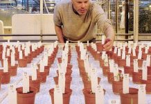 Con người có thể ăn thực phẩm gieo trồng từ sao Hỏa