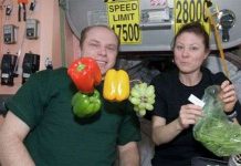 Trồng và thu hoạch rau trên trạm không gian quốc tế