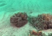 8 bức ảnh về sự đáng sợ của thiên nhiên khiến bạn "lạnh gáy"