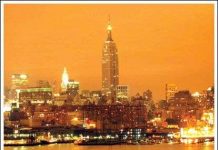 Mất bản năng vì thừa ánh sáng Mất bản năng vì thừa ánh sáng