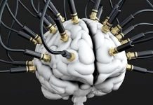 Mỹ phát triển chip cho phép não người và máy tính giao tiếp trực tiếp với nhau Mỹ phát triển chip cho phép não người và máy tính giao tiếp trực tiếp với nhau