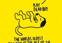 Bật mí 22 điều lý thú có thể bạn chưa biết