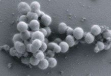 Những công nghệ "độc" làm thay đổi cuộc sống