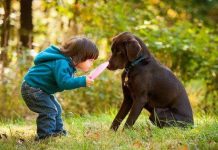 Phát hiện thú vị: Loài chó cũng biết ghen giống con người