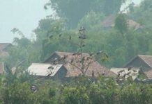 Bảo vệ đàn cò nhạn quý hiếm tại xã Mường Phăng