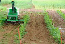 Robot nhỏ này sẽ cách mạng hóa ngành nông nghiệp