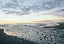 Nga phát hiện sự sống mới dưới lòng biển Viễn Đông