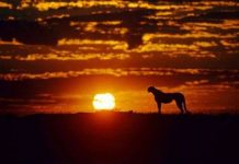 Những sa mạc - hoang mạc lớn nhất thế giới (2)