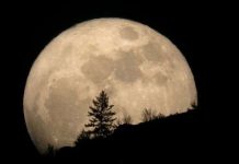 “Siêu trăng” sắp xuất hiện "Siêu trăng" sắp xuất hiện