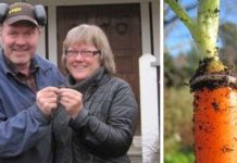 Đây mới chính là 10 người may mắn nhất trong lịch sử thế giới! Đây mới chính là 10 người may mắn nhất trong lịch sử thế giới!