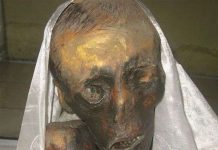 Thuật ướp xác thiền sư 500 tuổi còn nguyên răng, tóc ở Ấn Độ