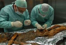 Khám phá mới về Người băng Otzi