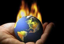 Giảm 70% lượng khí nhà kính chỉ bằng rong biển Giảm 70% lượng khí nhà kính chỉ bằng rong biển