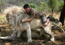 Kevin Richardson - Người bạn thân thiết của sư tử châu Phi